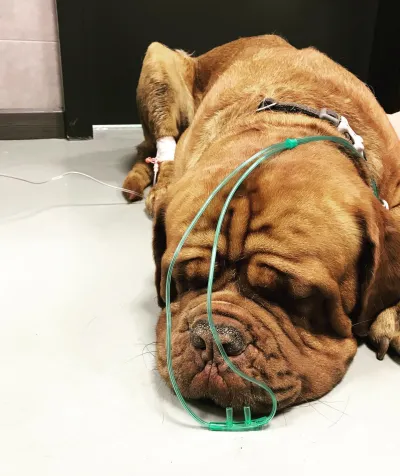 102691588 142544847441138 2387029713393892700 n