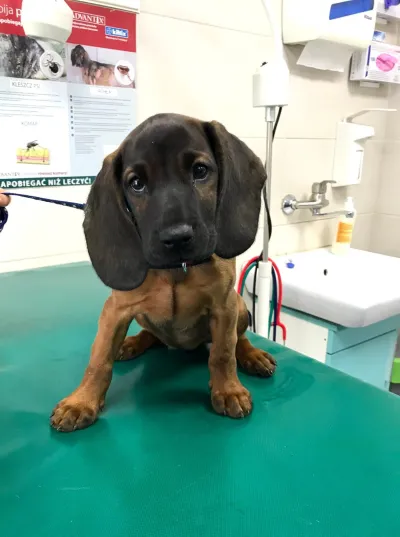 120847653 182628473432775 1450530745796045799 n