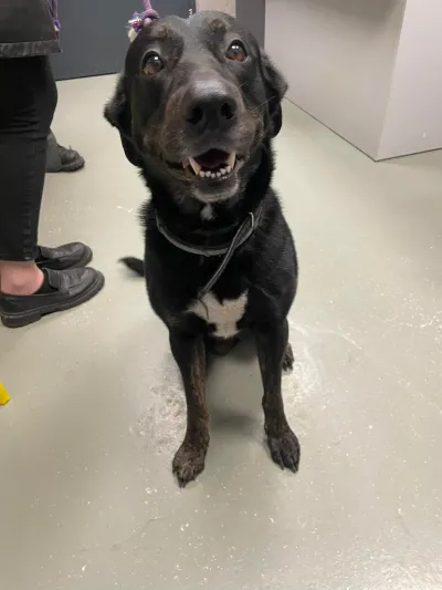 342720885 607922371269763 6473657239641132121 n