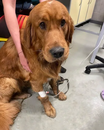 348562974 650499936922905 1381557682342868258 n