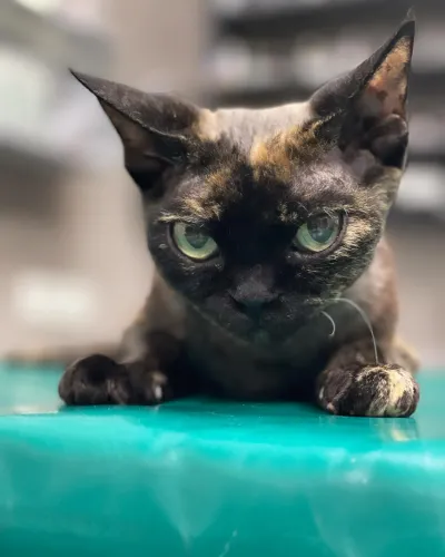 467979073 18042150077171826 5564753223753460730 n