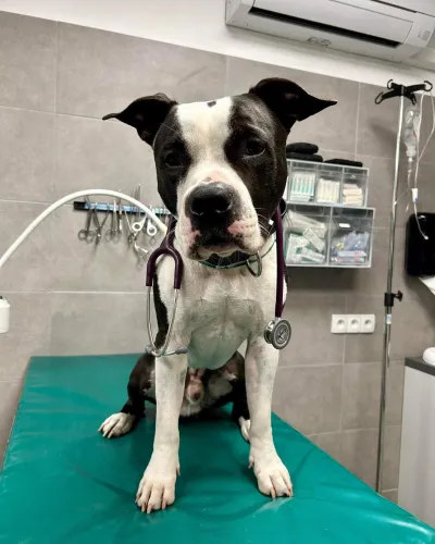 468121646 18042149969171826 1126567517089645774 n