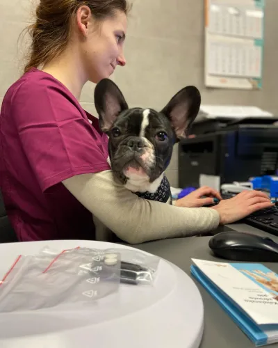 469398435 1128571788838434 1806875436516209406 n