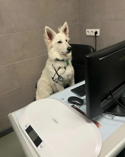 469586809 18044146340171826 3357321790940020203 n