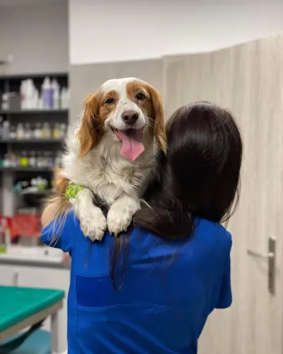 469649385 1130193295342950 3057934908703063689 n