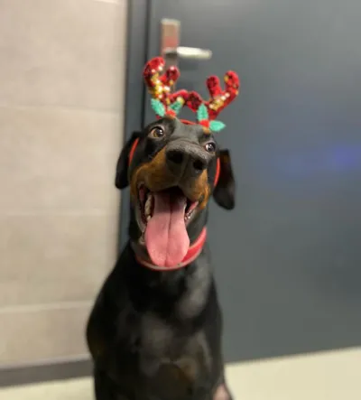 469711971 1129617098733903 6144693960223863102 n