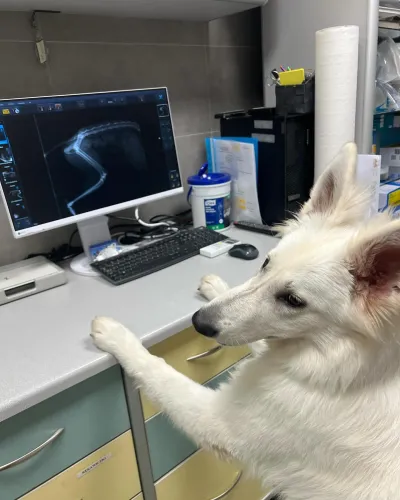 470248752 18044146349171826 6319329454764760231 n